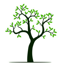 Obraz premium Green Tree. Vector outline image.