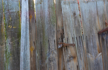 Detailed texture. Old shabby wood planks with rusty metal padlock background