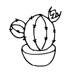 Cactus with flower in a pot hand drawn, home plants, simple flat vector illustration