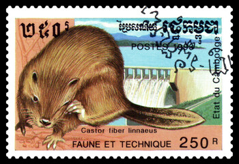 Postage stamp. Beaver, dam.