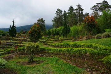 The atmosphere of natural tourism in the morning in the tourist area of ​​the Songo building temple. Semarang Indonesia