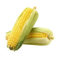 Corn on white background 