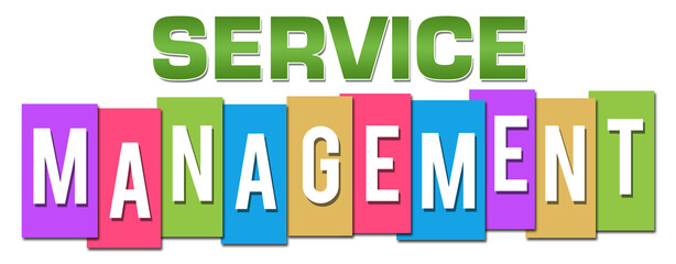 Service Management Professional Colorful 