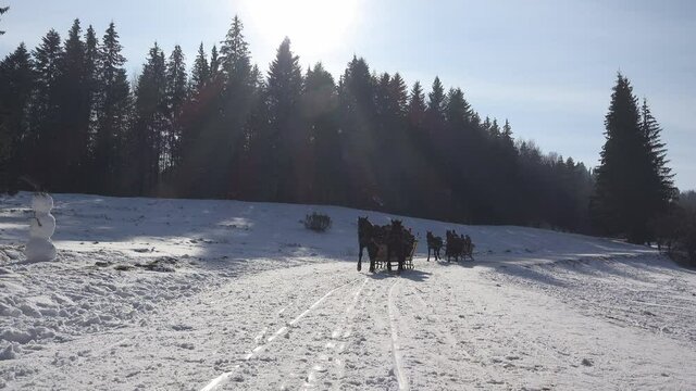 Two horse-drawn sleigh moving fast, beautiful winter landscape