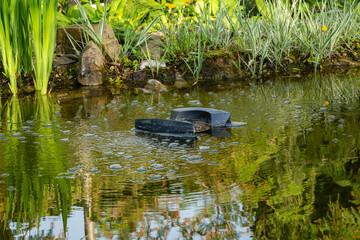 Skimmer Messner floats on surface of water in garden pond against blurred background of stone...