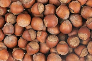 Unpeeled hazelnuts background texture. hazelnuts in shell