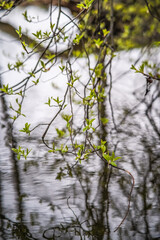 W oczekiwaniu na nadchodzącą wiosnę