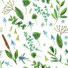 Naklejka premium Seamless pattern with watercolor painted herbs, plantain,oregano, laurel, dill. Can be used for textile design, wrapping paper, design elements, backgrounds.