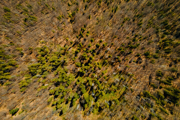 Landscape of mountains in daylight. Summer landscape