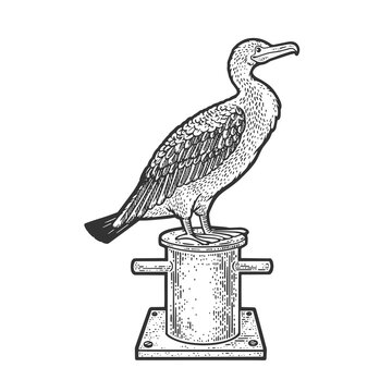 recommend clip art: cormorant bird on mooring bollard bitt sketch engraving vector illustration. T-shirt apparel print design. Scratch board imitation. Black and white hand drawn image.