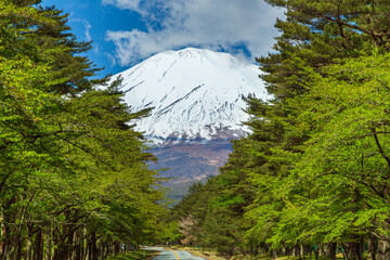 富士山に向かうフジアザミライン