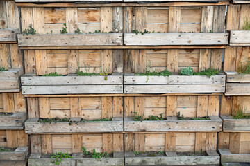 Maceteros verticales de madera sobre muro.