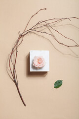 wabi sabi , organic design concept. Scandinavian and Japanese style flowers. pink rose on marble, dry tree branch and green leaf on beige background