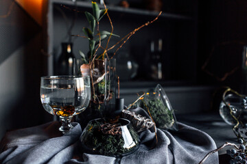 modern beautiful dark interior, room gray color, wardrobe shelves unusual gloomy decor table fabric cloth, dried flowers, vases with water, moss, branches, unusual style, halloween