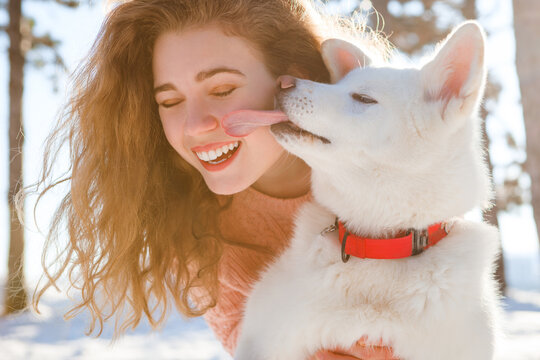 A curly-haired girl walks with a white akita in a snowy forest.