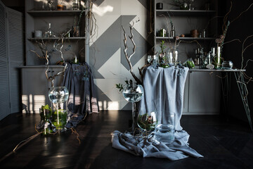 Obraz na płótnie Canvas modern beautiful dark interior, room gray color, wardrobe shelves unusual gloomy decor table fabric cloth, dried flowers, vases with water, moss, branches, unusual style, halloween