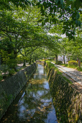 Fototapeta na wymiar 京都・緑に囲まれた疏水分線と哲学の道