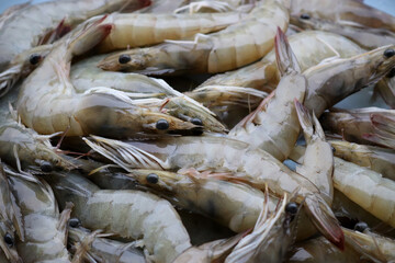 Close up fresh shrimps ready for sale at the market, shrimps background with copy space. Covid-19...