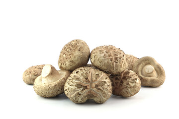 fresh raw shiitake mushroom is on white table and white background of the kitchen as ingredient for cooking dinner menu