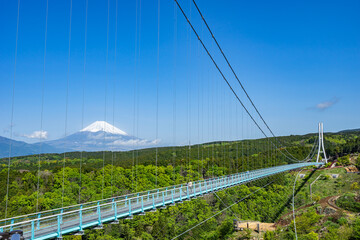 日本一長い大吊橋 (日本 - 静岡 - 三島スカイウォーク)