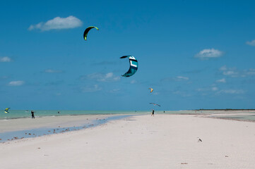  Kiteboarding on an amazing tropical beach at low tide on Holbox Island in Mexico, on the horizon the blue sky and white clouds