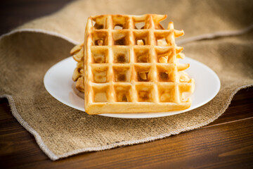 sweet cooked aromatic Belgian waffles in a plate