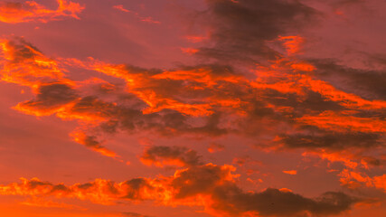 Fototapeta premium Blurred background of city views,high angles colorful sky,green leaves from the balcony,twilight lighting of car lights from tall buildings showing the distribution of accommodation in the capital.