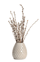 Vase with willow branch on white background © Pixel-Shot