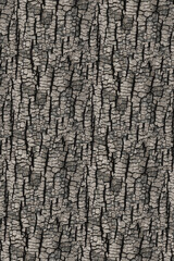 burned scorched surface texture pattern