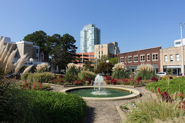 Fototapeta na wymiar View of Durham, North Carolina from a Downtown Park