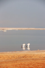 chairs in the dead sea travel photo