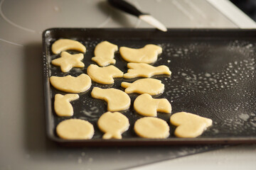 biscuits sur plaque de cuisson avant cuisson