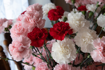 bouguet of carnations flower nature pink romantic bloom