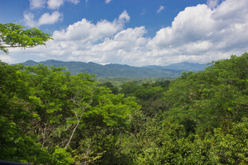 Fototapeta na wymiar paisaje de selva desde lo alto con vista a las montañas en un día con nubes