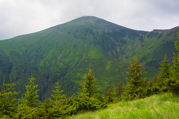 Obraz premium Summer time, Carpathian mountains