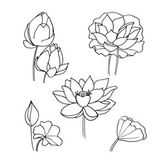 Collection of hand drawn vector lotus flowers in black.  Doodle illustration for tattoo and logo. Yoga symbol lotus on white 