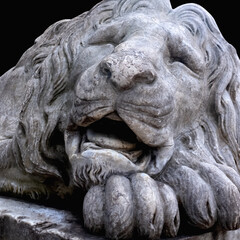 Ancient stone statue of lion. Close up.