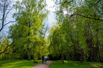 Der Diederichsenpark in Kiel eine Parkanlage im Frühjahr