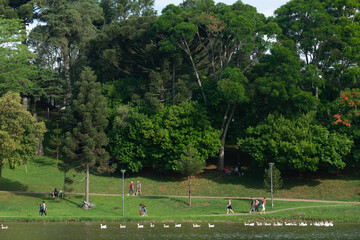 Obraz premium Parque São Lourenço represa o rio Belém próximo à sua nascente. Importante área de lazer em Curitiba, Paraná, Brasil.