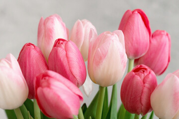 Obraz premium A bouquet of delicate pink tulips for the holiday. Mother's day, birthday, valentine's day. greeting card. soft selective focus, close-up.