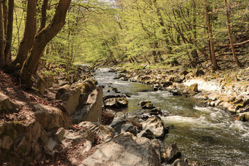 Frühling im Schwarzatal; Die Schwarza an den Strudeltöpfen