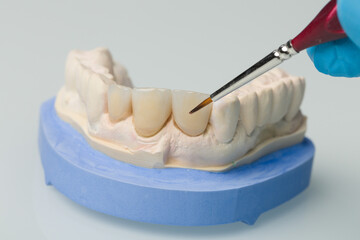 close up of painting work at artificial dentition with a paintbrush in a dental laboratory 