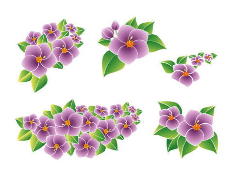 Persian Violet Bouquet. Purple folwer Vector Illustration.