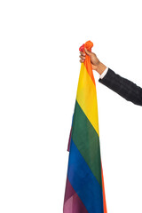 Fototapeta na wymiar cropped view of african american man holding lgbt flag isolated on white