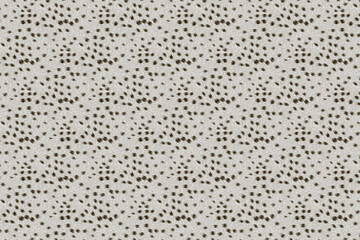 african animal fur skin pattern surface texture