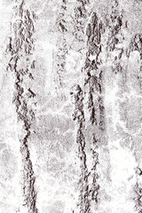 grunge structure texture wallpaper backdrop background overlay