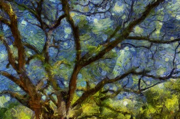 Large tree With branches spreading out wide With a beautiful branch shape Illustrations creates an impressionist style of painting.
