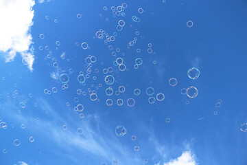 soap bubbles in the sky photo