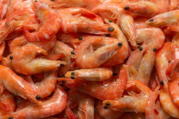 Shrimps background texture. A lot of shrimps. Cooked shrimps.