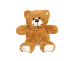 Teddy bear isolated on white